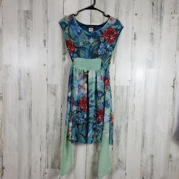 Approximate behavior sheer flower summer dress M - Picture 11 of 11